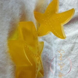 Star Fish Splash Bar